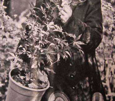 Mon jardin & ma maison