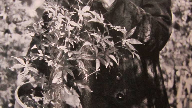 Mon jardin & ma maison